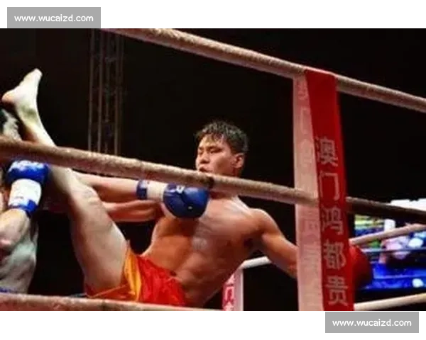 边茂富对决柳海龙巅峰一战视频回顾与技术细节全解析经典瞬间深度盘点