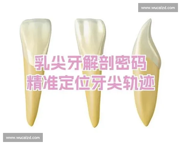 百年宿敌交锋史巴萨与皇马历史战绩全景回顾与对比解析深度演变轨迹